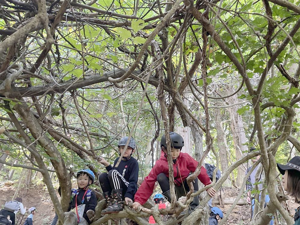 木に登る子どもたち